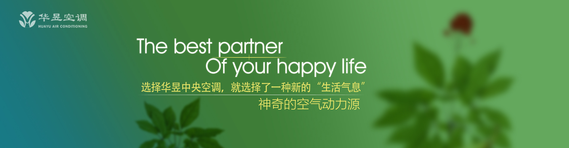 春华秋实网